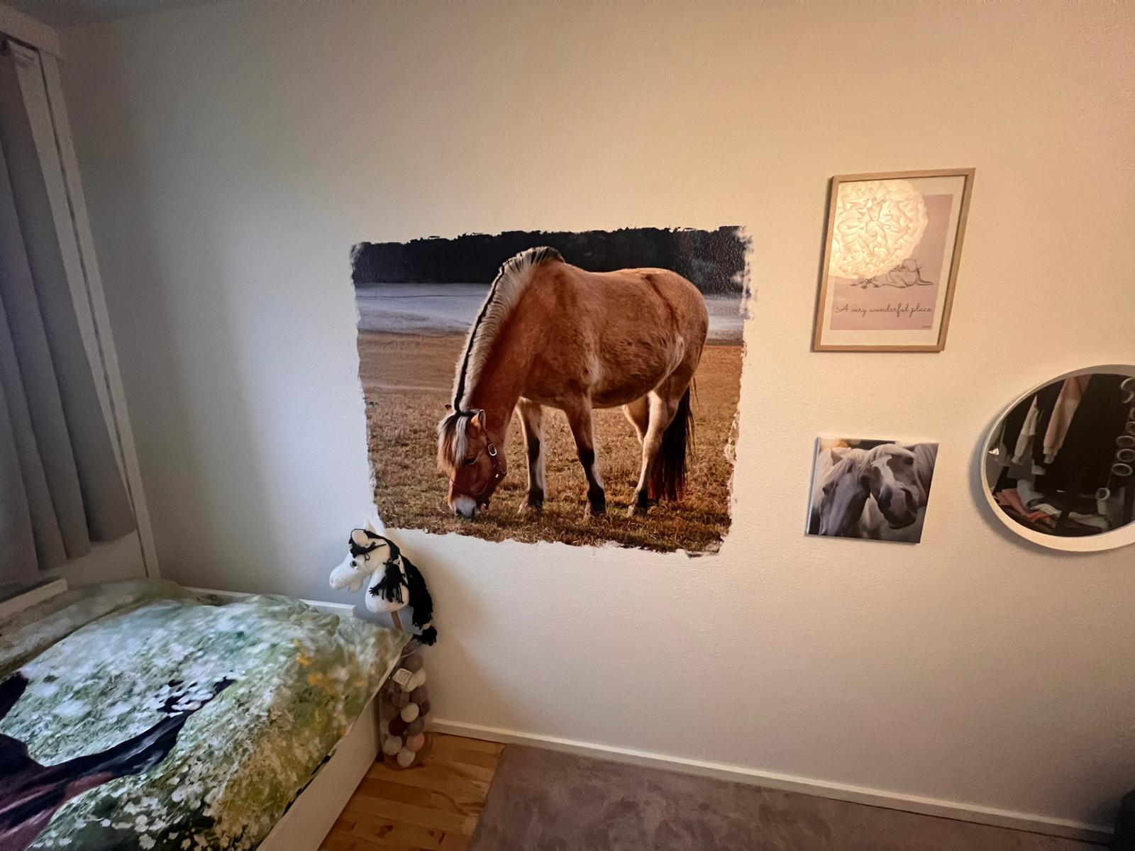 Hestevæg på børneværelse – vægprint (Privat hjem)